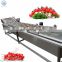 fruit and vegetable cleaning equipment fruit cleaner root vegetable washing machine