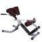 2019 LZX Fitness equipment roman chair gym machine