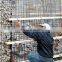 High Quality Gabions Box hot Dipped Galvanized Material Gabion basket stone cage