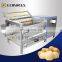 2021 High Efficiency Multi-Function Automatic  Brush Roller Carrot /Sweet Potato Cleaning/Peeling Machine