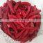 New Crop Jinta Beijinghong IQF Frozen  Red Chilli with Competitive Price