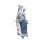 New fat freezing machine cryolipolysis 5 handles criolipolisis body shaping slimming machine