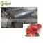 shanghai línea de producción automática de salsa de tomate