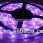 cheap led strip light