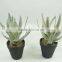 Factory direct selling promotional items big pallet artificial plants
