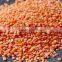 Best Quality DRIED Green Lentils | Red Lentils | Brown Lentils