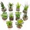 mini artificial succulent plants for home decorating