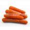 Fresh Indian Carrots
