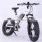 8.8AH Panasonnic battery 20 inch big tire snow electric bicycle mountain bike