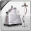 LT-8 Silver Power 2200W High Quality New Design Competive Price Garment Steamer
