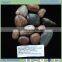 high polished 2-5cm pebble for paving use
