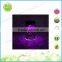 Solar lights glass table lamp led up light