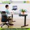 Black Customized Electric Stand Up Height Adjustable Desk For Office Workers