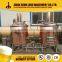 High Quality 300L Mini Brewery Equipment/Beer Brewing Equipment