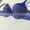 New Design Mix Color Lace Wing Push Up Silicone Bra Hot Sexy