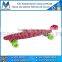 Best selling Longboard Mini Skateboard Fish Skate Board with Low price