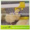 Leon Water Evenly Poultry Drinking System
