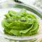 Dehydrated Wasabi Powder
