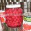 New Canned Sweet Cherry in YANTAI