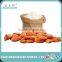 Supplying High Quality Sweet Apricot Kernel From China