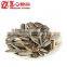 Bulk Raw Sunflower Seeds for Snack