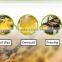 Food grade organic wax foundation sheet for sale