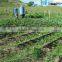 Agriculture Farm Gravity Drip Irrigation System
