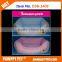 Lovely Comfortable Pet Bed For Dogs Or Cats