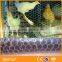 protection Aquaculture Chain Link Fence Roll of fence animals cages