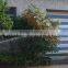 3203 Irrigation Sprinkler Heads for Garden, Lawn