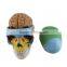 Colorized Human Body Plastic Medical Anatomical Skull Model