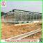 Cheapest Price PC Board Agricultural Greenhouses With Hydroponic System