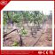 PE material drip irrigation pipe for farm and agriculture