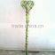 Lucky bamboo Dracaena Sanderiana Heart shape