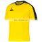 Healy sport mens' short sleeve custom team soccer jersey made in china