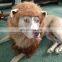 Funny Animal Planet Lion Hair Pet Costume for Puppy Dog Cats