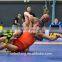 Used Boxing WTF Sport Felxi Roll Mat For Sale