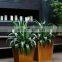 Garden plant protection corten steel planters large flower pots wholesale