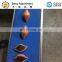 Small Scale Multifunctional Auto Kibbeh Making Machine