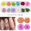 Pressed Flower Nail Art Nail Decorations Sticker Leaf  Dried Flowers