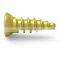 High Quality China Manufacturer Orthopedic Implant Posterior Cervical Self Drilling/Tapping  Screw