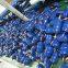 BLR/ASF SUCTION LINE FILTER DRIER