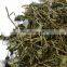 Cheapest price Centella Asiatica/High quality centella Asiatica dried leaves from Vietnam