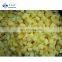 High Quality Hot Sale IQF Frozen Mango Dice IQF Mango Cube