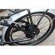 folding electric bike 250W Brushless Gear motor batteries lithium reviews for sale