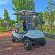 Single row 2-seater electric golf cart