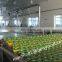 Factory Genyond fruit pineapple tomato peach canning sealing machine canned fruits processing plant production line price
