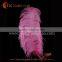 wholesale cheap 50-55cm ostrich feathers for sale