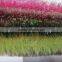 PET Christmas Outdoor Tinsel Garland Decorate