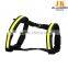 glowing in dark led nylon pet harness safety walking at night